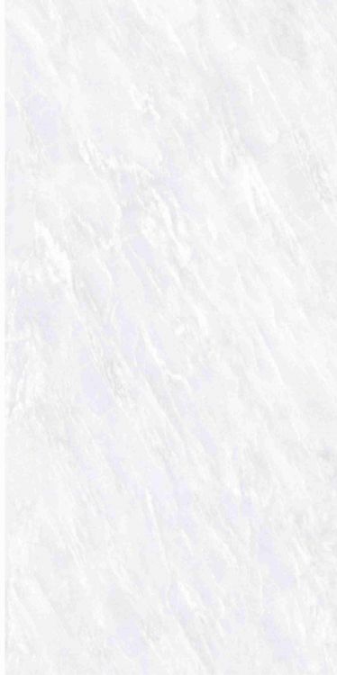 OL Vivid White Matte 12 x 24